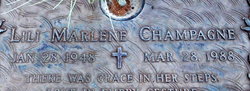 Lili Fiello death by force case in Tucson, AZ