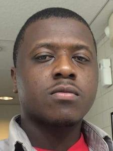 Lyndell L Hodges death by force case in Chicago, IL