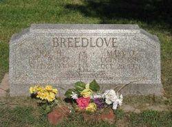 Joseph Breedlove death by force case in Dumas, AR