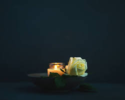 Rose Martinez death by force case in Salt Lake City, UT