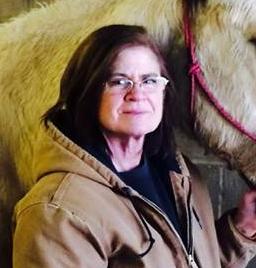 Julie Dawson death by force case profile photo
