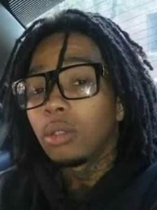 Lionel P Williams death by force case in Chicago, IL