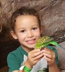 Avi Liam Franco death by force case in Henderson, NV