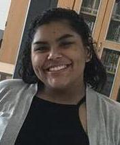 Alisa Reed death by force case in Lexington, KY