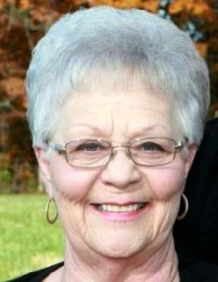 Hellen S. Siddens death by force case in Scottsville, KY