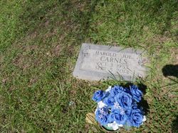 Harold Joe Carnes death by force case in Walker, KY