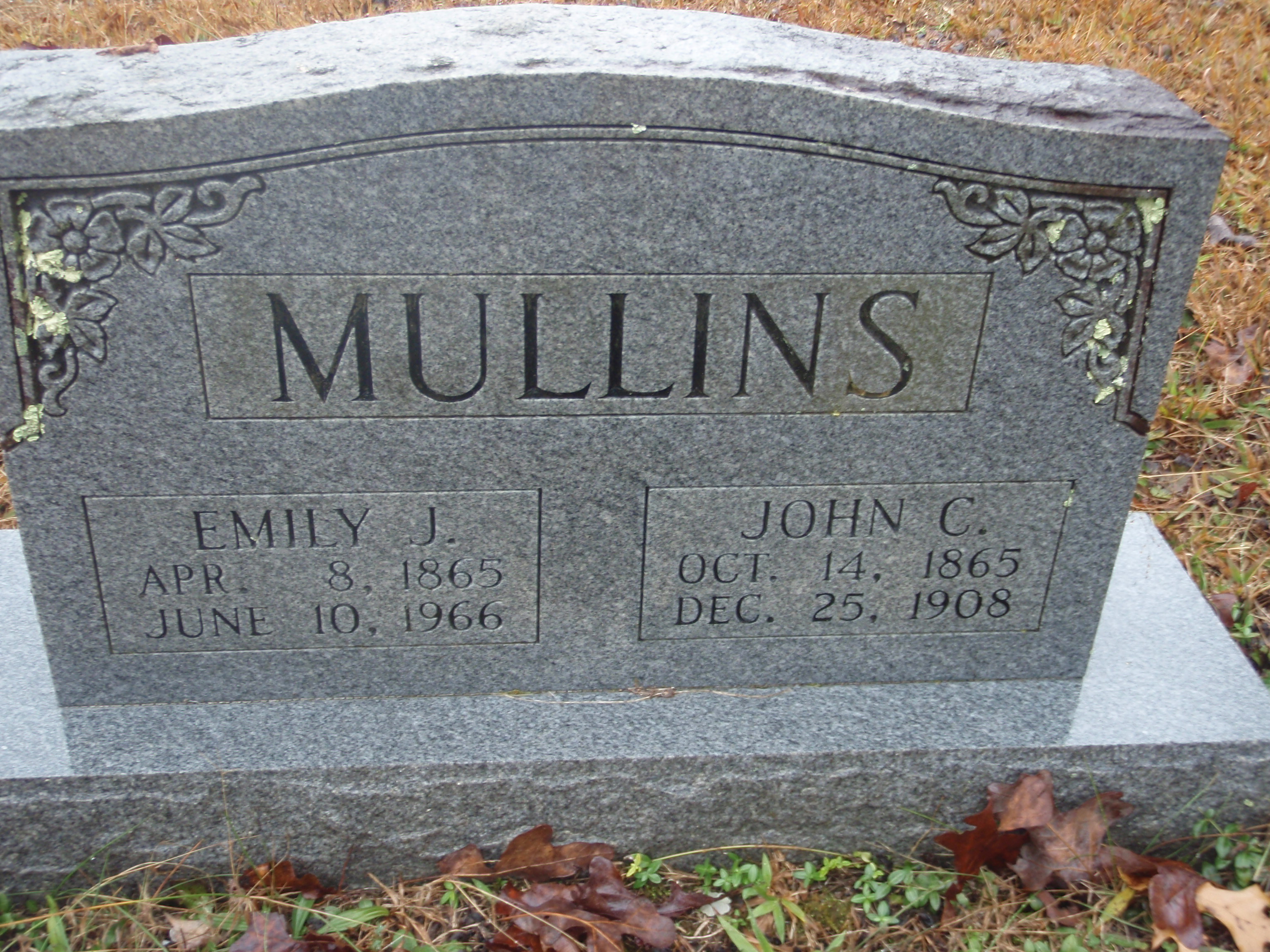 John Mullins death by force case in Stearns, KY