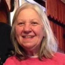 Lois Biesterveld death by force case profile photo