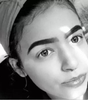 Arianna Reed death by force case in Lansing, MI