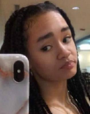 Yasmeen Scott death by force case in Niles, MI