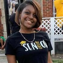 Morgan Alexandria Jean Dawkins death by force case in Detroit, MI