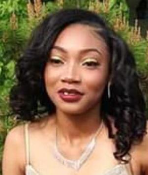 Lysa Blake death by force case in Redford Township, MI