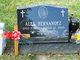 Alex Hernandez death by force case in Chicago, IL
