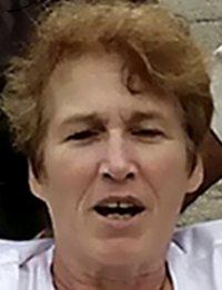 Holly A. Lozon death by force case in Raisinville-township, MI