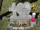 Hugo Gonzalez death by force case in Chicago, IL