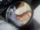 Roy Perritt death by force case profile photo
