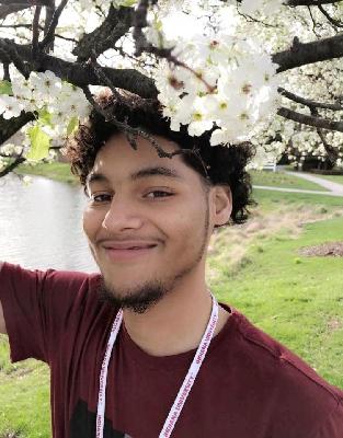 Carlos Hamilton death by force case in Fort-wayne, IN