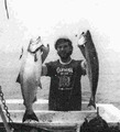 Mark Leese missing person case in Pt Reyes Station, California