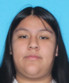 Kathleen Cabral Gomez missing person case in Franklin Park, Illinois