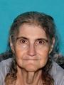 Jeanette Hornstein missing person case profile photo