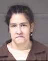 Stephanie Hudgins missing person case in Asheville, North Carolina