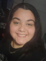 Annalicia Carrillo missing person case in Chicago, Illinois