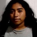 Diana Pena missing person case in Columbus, Ohio