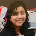 Mirna Chen Pop missing person case in Goose Creek, South Carolina