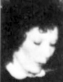 Jan Pattison missing person case in Greenland, Michigan