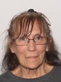 Lynne De Less missing person case in Bradenton, Florida