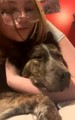 Pheobe Mcgee missing person case in Colorado Springs, Colorado