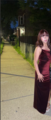 Olmerlis Gallardo-parra missing person case in Chicago, Illinois