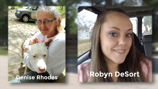 Denise Rhodes missing person case in Bauxite, Arkansas