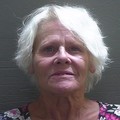 Lucille Cowell missing person case in Pensacola, Florida