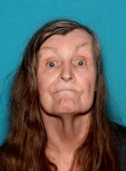 Denise Bellafiore missing person case in San Diego, California