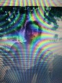James Bonelli missing person case profile photo