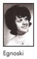 Ruth Egnoski missing person case in Delavan, Wisconsin