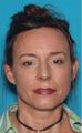 Michelle Fennell missing person case in Lake Ozark, Missouri