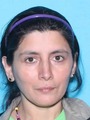Michelle Ybarra missing person case in Houston, Texas