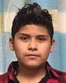 Manuel Acacia missing person case in Libertyville, Illinois