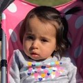 Vanessa Morales missing person case in Ansonia, Connecticut