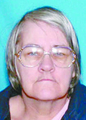 Mary Tautkus missing person case in Eben Junction, Michigan