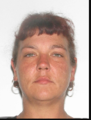 Paula Jones missing person case in Roanoke, Virginia