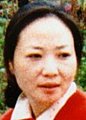 Li Yan missing person case in Manhattan, New York