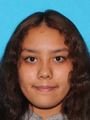 Viviana Ramos missing person case in Las Cruces, New Mexico