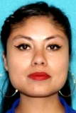 Ana Paula Rodriguez-ruano missing person case in Los Angeles, California