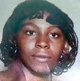 Joan Vanessa Mason missing person case in Highland, Michigan