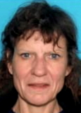Dee Anna Lea Miner missing person case in Sandstone, Minnesota