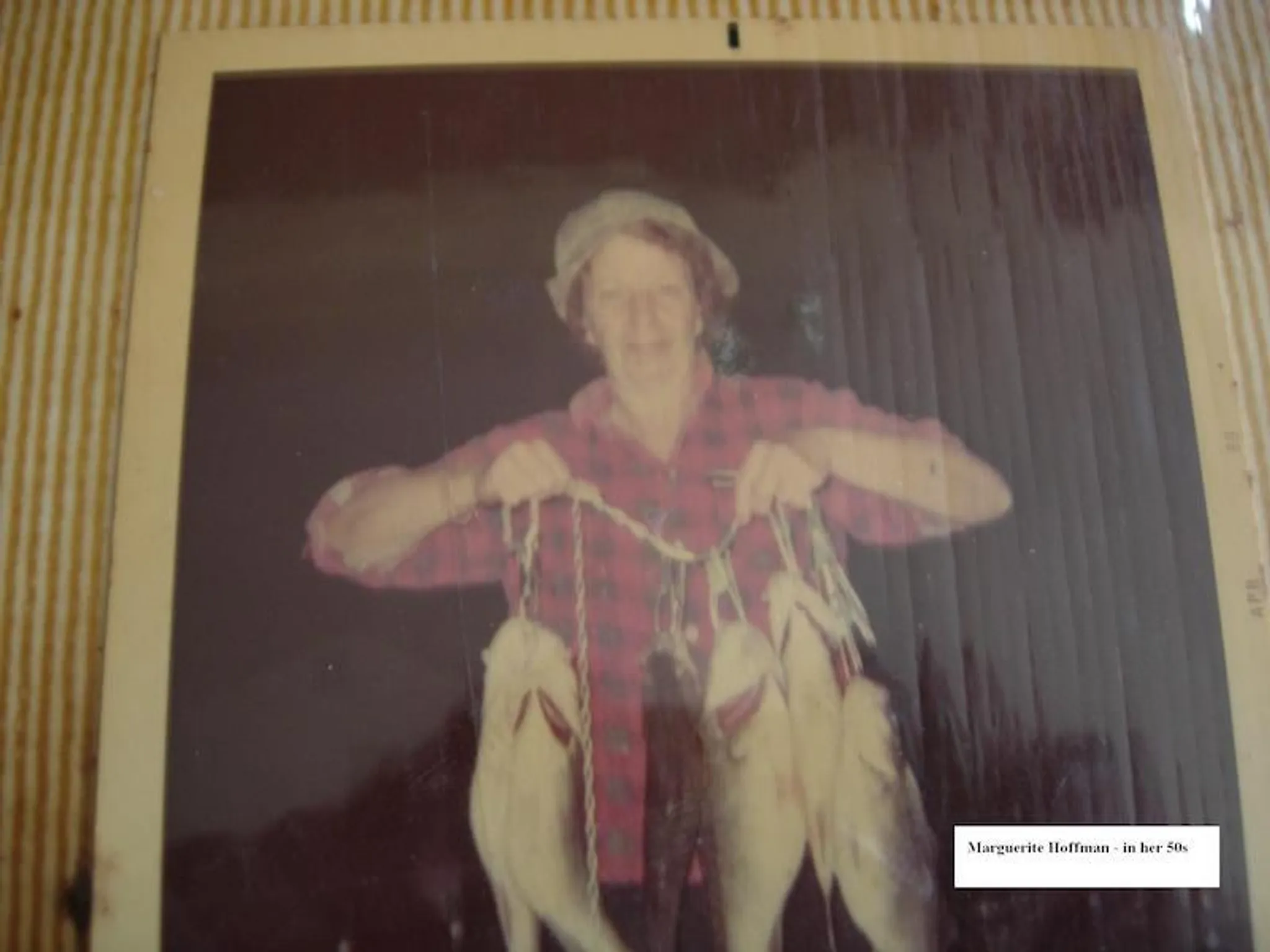 Marguerite Erin Hoffman missing person case in Alabaster, Tennessee
