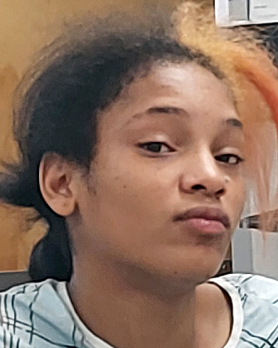 Lovelylisa Mells missing person case profile photo